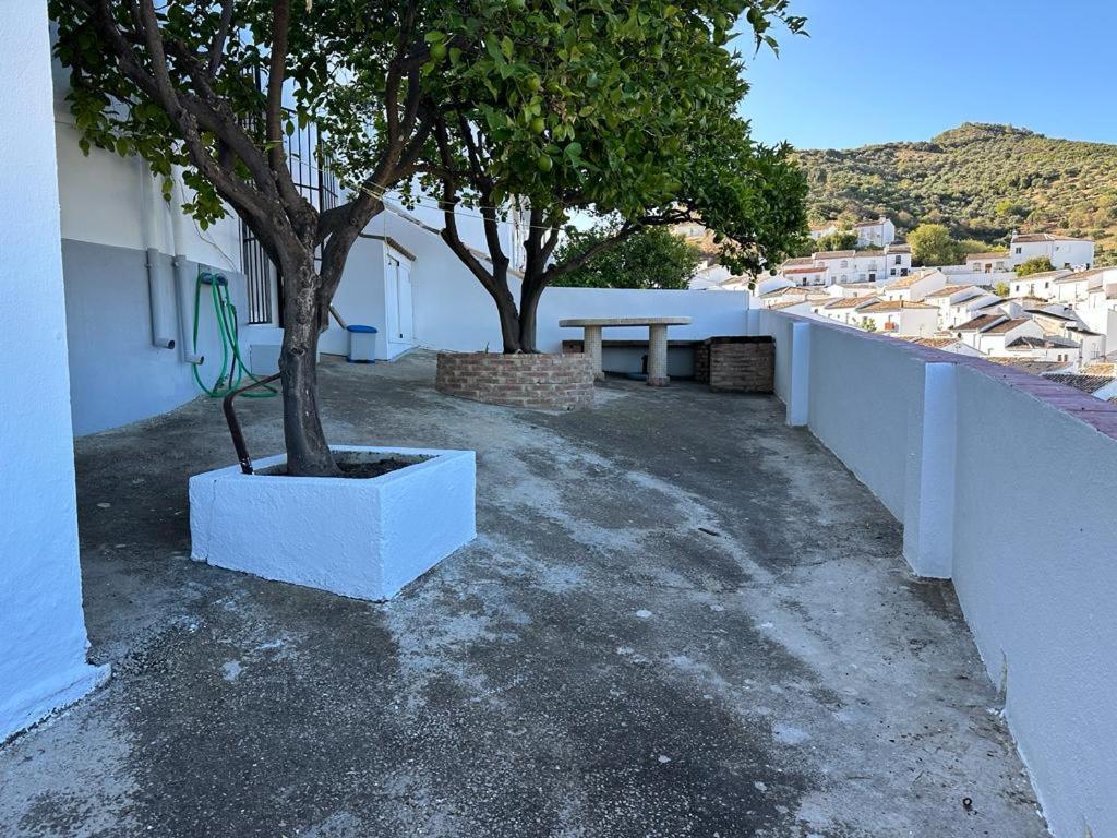 Apartamento Antonia Zahara De La Sierra Εξωτερικό φωτογραφία