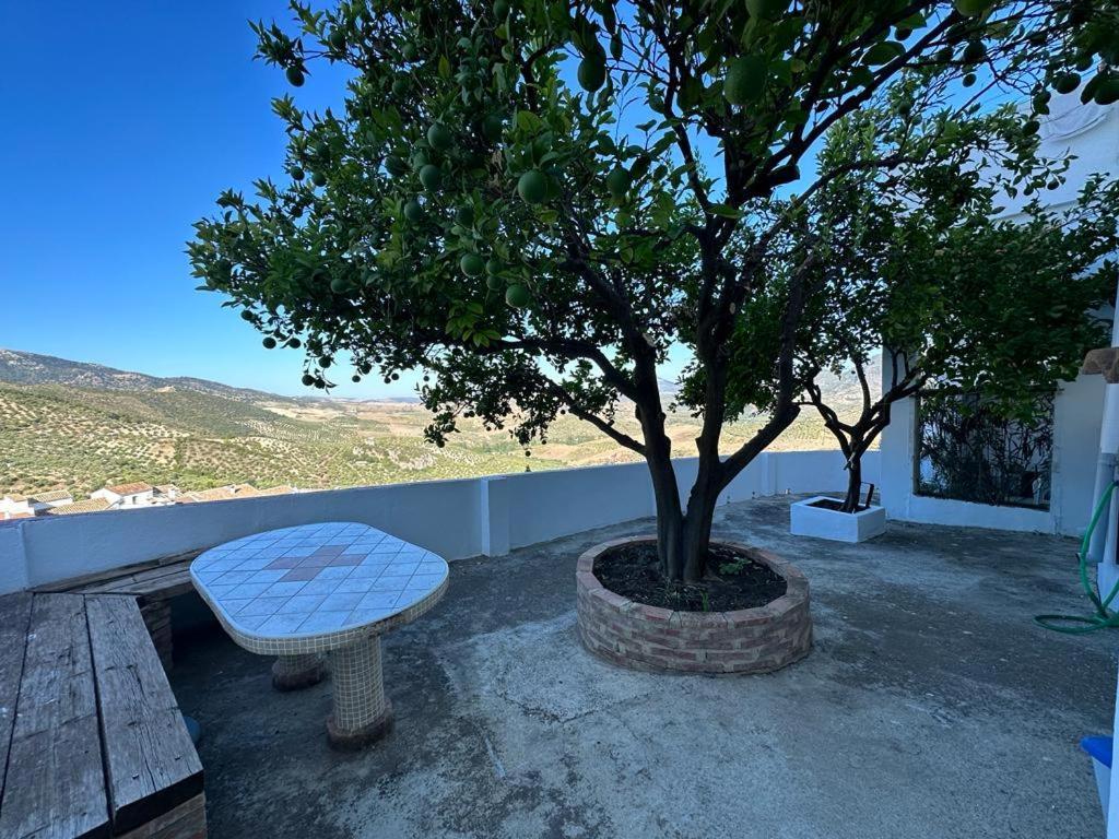 Apartamento Antonia Zahara De La Sierra Εξωτερικό φωτογραφία